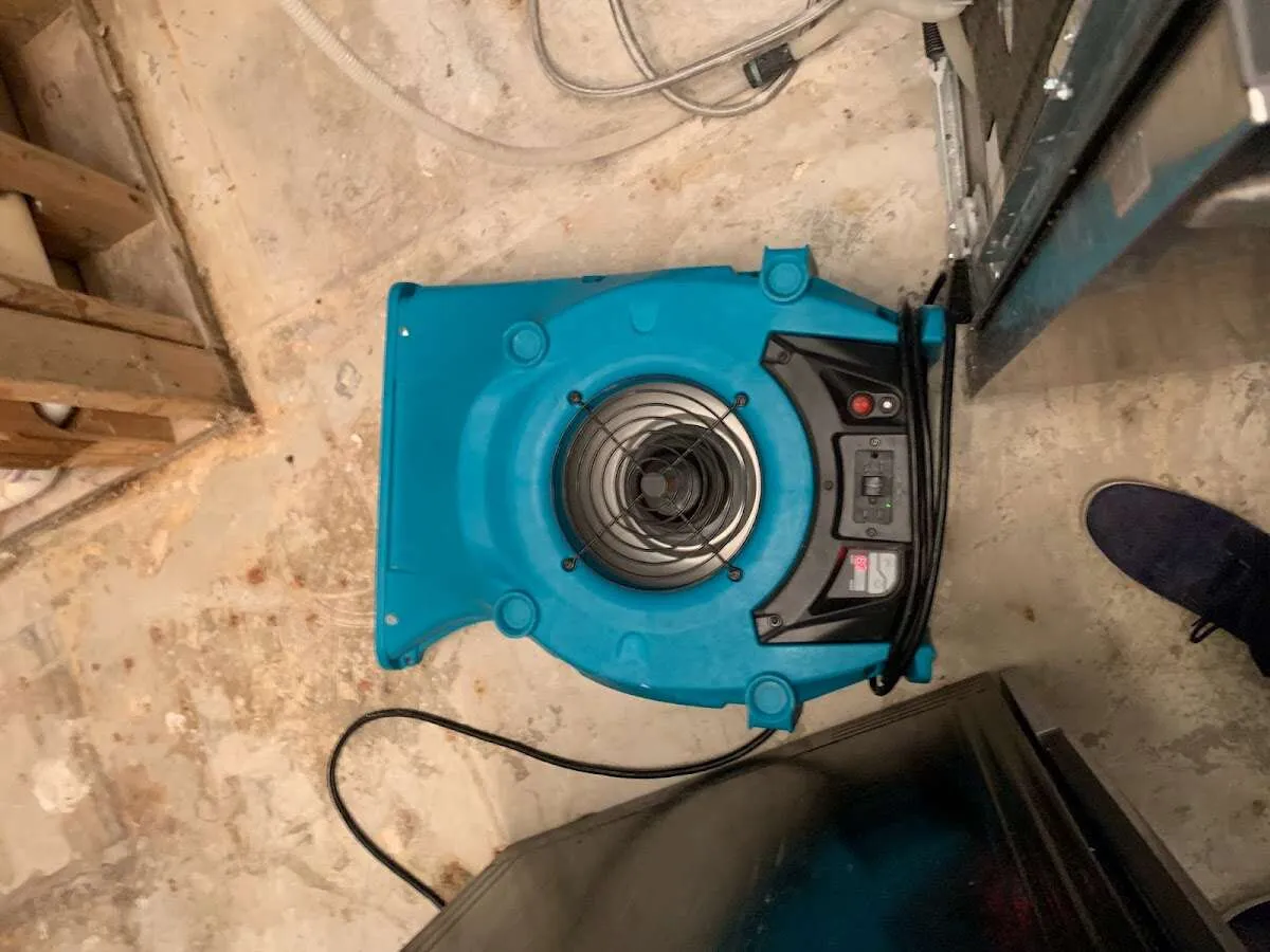 Air mover drying equipment for Mold Remediation & Removal in Atherton